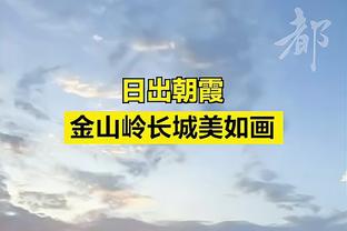 苏群谈TJD：只要不像怀斯曼那样傻站着 就能有出人意料的效果